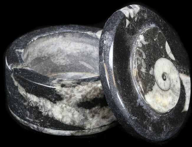 Small Fossil Goniatite Jar (Black) - Stoneware #38008